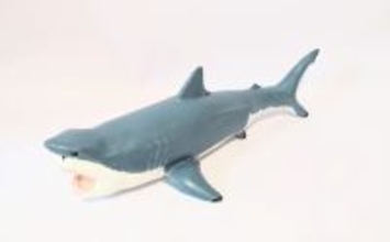 古代の巨大ザメ＜メガロドン＞の生存を脅かした古代生物　全長10m超のライバルたち