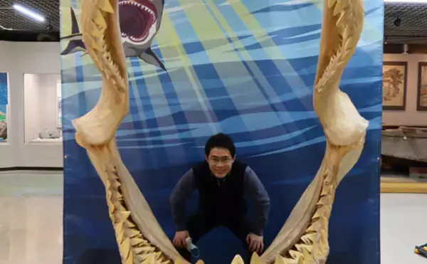 「古代の巨大ザメ＜メガロドン＞の生存を脅かした古代生物　全長10m超のライバルたち」の画像