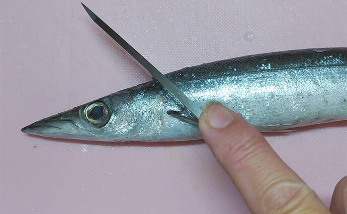 釣魚で作る「酒の肴」レシピ：カマスの濃厚焼き　濃い味付けがコツ