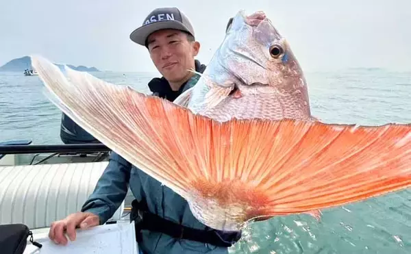 伊勢湾タイラバゲームでマダイ5匹キャッチ【愛知】赤色の細カーリーのネクタイに好反応