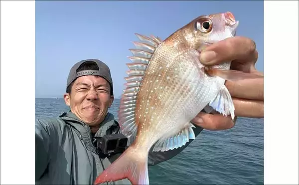 「伊勢湾タイラバゲームでマダイ5匹キャッチ【愛知】赤色の細カーリーのネクタイに好反応」の画像