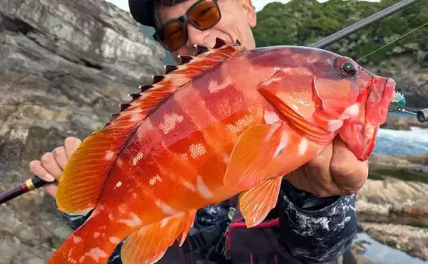 沖磯ロックフィッシュ釣果レポート：今季初釣行で40cm級アカハタ手中【北浦の磯・宮崎】