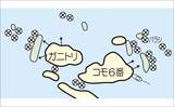 「沖磯ロックフィッシュ釣果レポート：今季初釣行で40cm級アカハタ手中【北浦の磯・宮崎】」の画像3