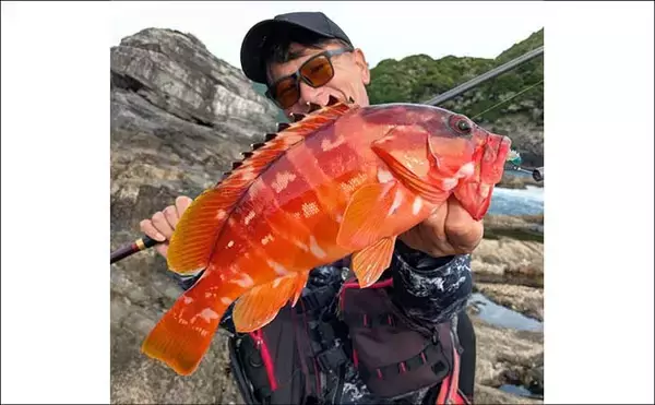 「沖磯ロックフィッシュ釣果レポート：今季初釣行で40cm級アカハタ手中【北浦の磯・宮崎】」の画像