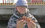 「メ解禁日の東京湾エビメバル釣りに密着【金沢八景・一之瀬丸】本命に加えてカサゴやイシモチも好捕」の画像1