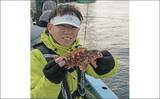 「メ解禁日の東京湾エビメバル釣りに密着【金沢八景・一之瀬丸】本命に加えてカサゴやイシモチも好捕」の画像12