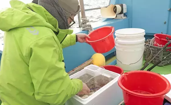 「メ解禁日の東京湾エビメバル釣りに密着【金沢八景・一之瀬丸】本命に加えてカサゴやイシモチも好捕」の画像