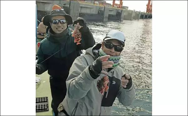 「メ解禁日の東京湾エビメバル釣りに密着【金沢八景・一之瀬丸】本命に加えてカサゴやイシモチも好捕」の画像