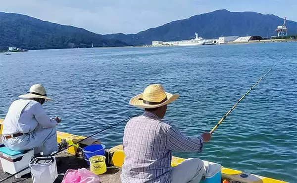 「「夫婦合わせて束釣り達成！」敦賀港のサヨリ釣りで本命104匹キャッチ【福井】」の画像