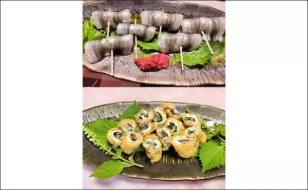 「「夫婦合わせて束釣り達成！」敦賀港のサヨリ釣りで本命104匹キャッチ【福井】」の画像