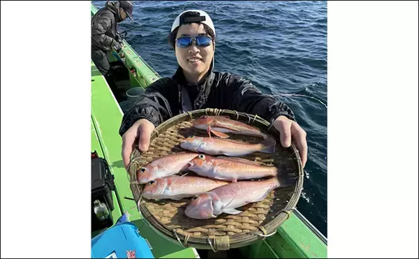 「アマダイ釣りは多彩なゲストとの出会いが面白い！【ちがさき丸】本命5匹に多彩なゲスト登場」の画像