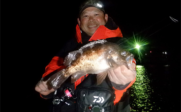 堤防メバリングで28cmメバルを好捕【千葉・勝浦】 尺メバルを狙える条件とは？