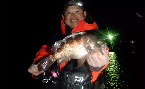 堤防メバリングで28cmメバルを好捕【千葉・勝浦】 尺メバルを狙える条件とは？