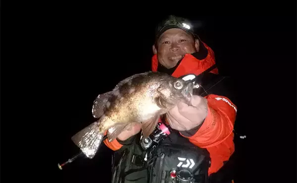 「堤防メバリングで28cmメバルを好捕【千葉・勝浦】 尺メバルを狙える条件とは？」の画像