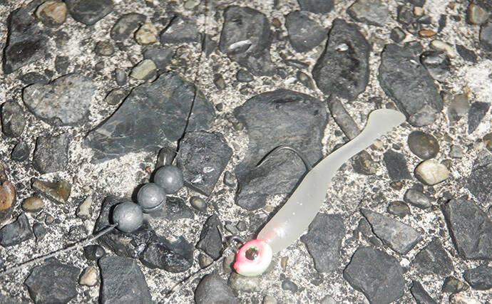 堤防メバリングで28cmメバルを好捕【千葉・勝浦】 尺メバルを狙える条件とは？