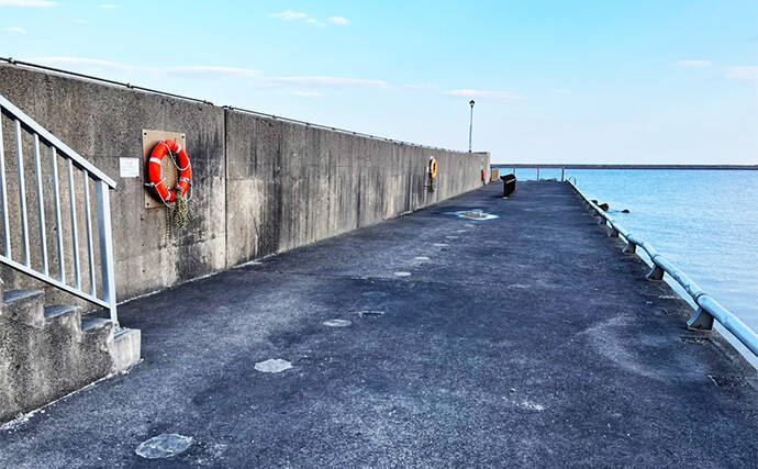 ヘチ釣りで想定外のカレイをキャッチ！【三重】夕マヅメにヒット