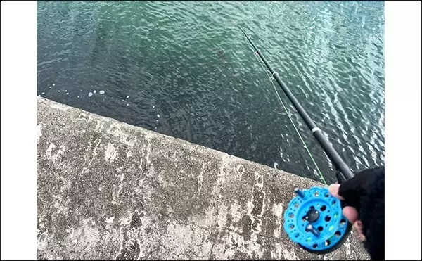 「ヘチ釣りで想定外のカレイをキャッチ！【三重】夕マヅメにヒット」の画像