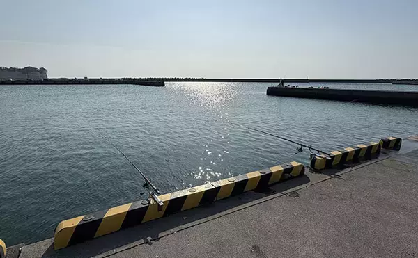 「「天ぷらが最高！」エサなしの堤防サビキ釣りで稚鮎142匹【北茨城】」の画像