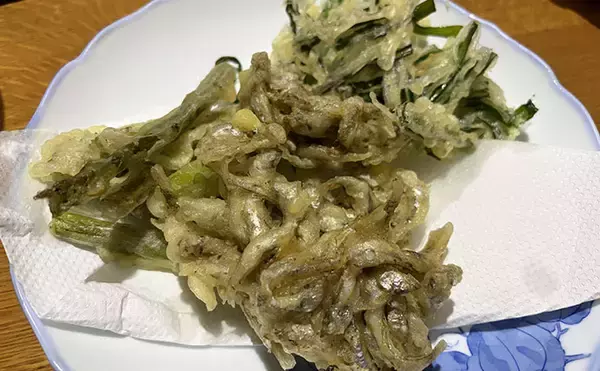 「「天ぷらが最高！」エサなしの堤防サビキ釣りで稚鮎142匹【北茨城】」の画像