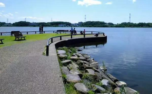 「手賀沼公園でテナガエビを好捕！【千葉】曇天時や朝夕マヅメが狙いめか」の画像