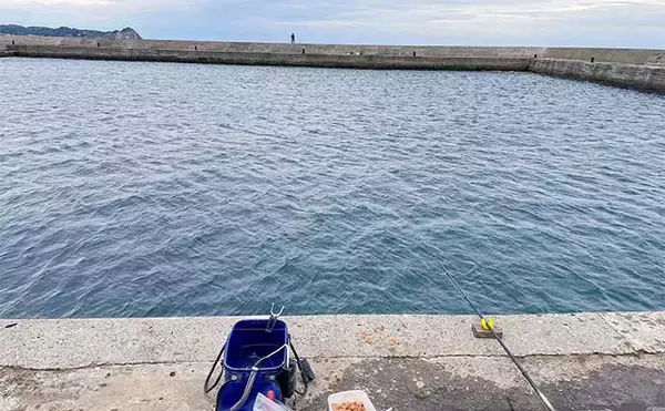 「堤防サビキ釣りでアジ8尾【千葉・興津東港】カマスも回遊中」の画像