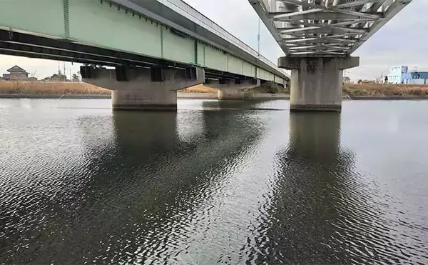 「「トップでダメならボトムを狙え！」シーバス釣りの新常識【ボトムドリフト】を独自解説」の画像