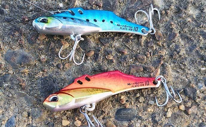 「トップでダメならボトムを狙え！」シーバス釣りの新常識【ボトムドリフト】を独自解説