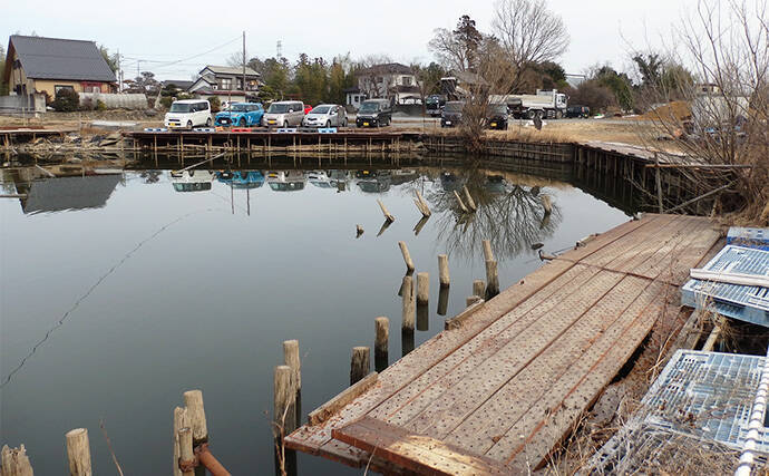 今週のヘラブナ推薦釣り場2024【埼玉県・九頭竜沼】