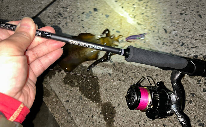 エギンガーから人気がない【潮流が速いポイントでエギング】してみた　良型アオリを好捕！