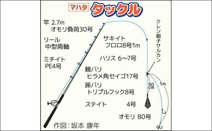 「4kg級も浮上！」外房大原沖の泳がせ釣りで2kg級主体にマハタ全員安打【千葉】