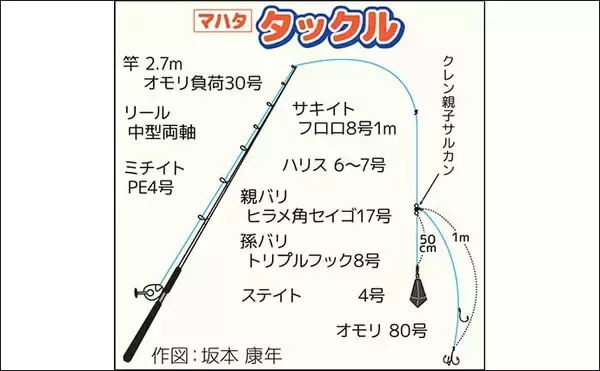 「「4kg級も浮上！」外房大原沖の泳がせ釣りで2kg級主体にマハタ全員安打【千葉】」の画像