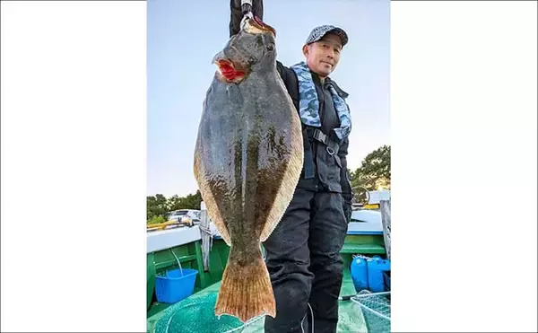 「【沖釣り釣果速報】圧巻サイズの大判ヒラメ確保！玄界灘の落とし込み釣りで良型続出（福岡）」の画像