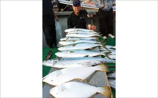 「【沖釣り釣果速報】圧巻サイズの大判ヒラメ確保！玄界灘の落とし込み釣りで良型続出（福岡）」の画像