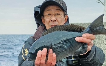 初島のウキフカセ釣りで40cm級メジナ手中【静岡・熱海沖】泳がせではアオリイカも登場