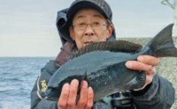 初島のウキフカセ釣りで40cm級メジナ手中【静岡・熱海沖】泳がせではアオリイカも登場