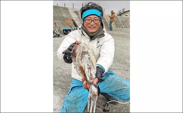 「初島のウキフカセ釣りで40cm級メジナ手中【静岡・熱海沖】泳がせではアオリイカも登場」の画像
