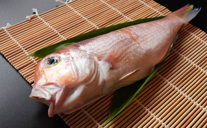 サカナの「鱗（ウロコ）」は調理の邪魔者？それとも美味しい食材？