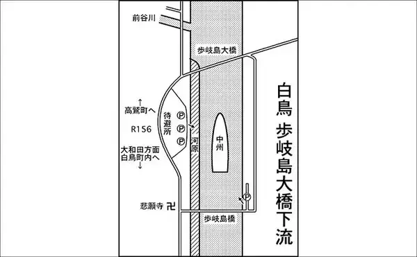 「長良川郡上漁協管内の渓流釣り場ガイド【岐阜】本流アマゴ好ポイント紹介」の画像