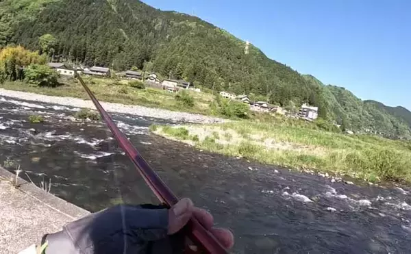 「長良川郡上漁協管内の渓流釣り場ガイド【岐阜】本流アマゴ好ポイント紹介」の画像