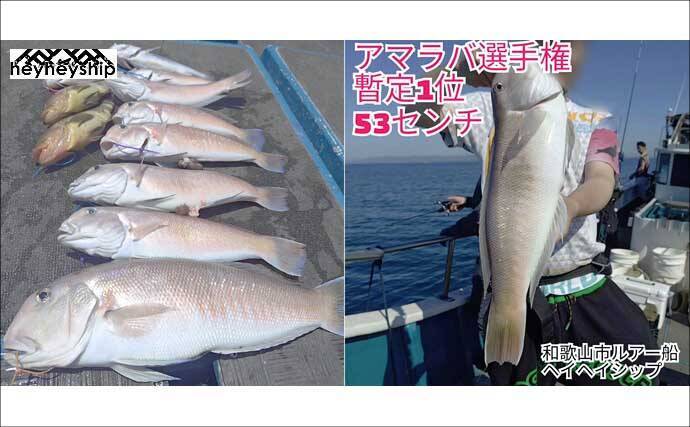 夜遊びにイカメタルとバチコンはいかが？　関西エリアの【船釣り特選釣果7選】