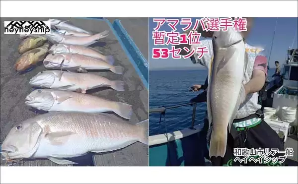 「夜遊びにイカメタルとバチコンはいかが？　関西エリアの【船釣り特選釣果7選】」の画像