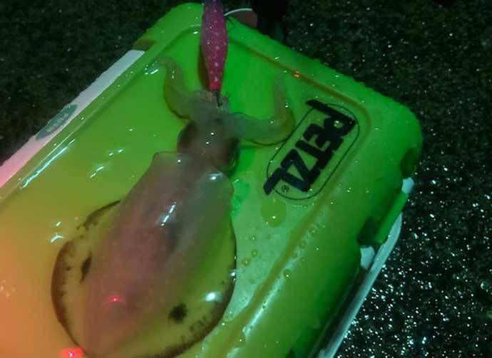 雨の日の陸っぱり釣行を快適にする裏技　屋根がないなら作ってしまう？