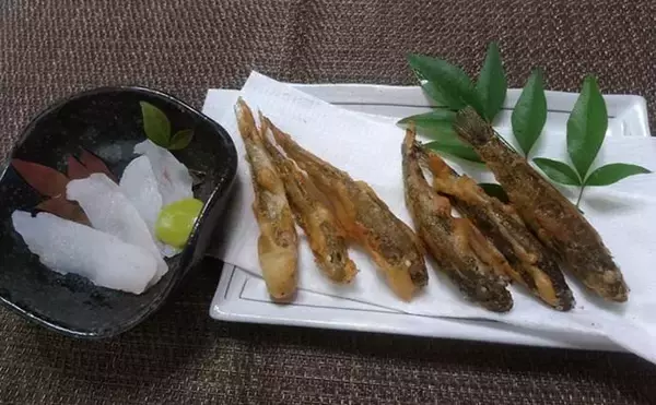 「堤防ハゼ釣りで18cm筆頭に12匹【千葉】ウロハゼとマハゼの食味の違いは？」の画像