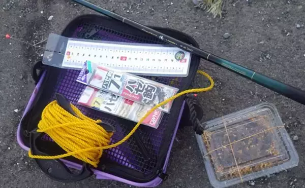 「堤防ハゼ釣りで18cm筆頭に12匹【千葉】ウロハゼとマハゼの食味の違いは？」の画像