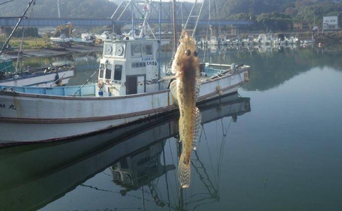 堤防ハゼ釣りで18cm筆頭に12匹【千葉】ウロハゼとマハゼの食味の違いは？
