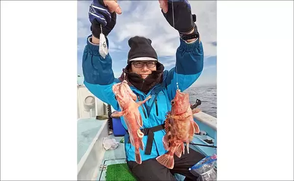 「船カサゴ釣りで27匹と好調！【愛知・第二武丸】3連掛けも達成」の画像