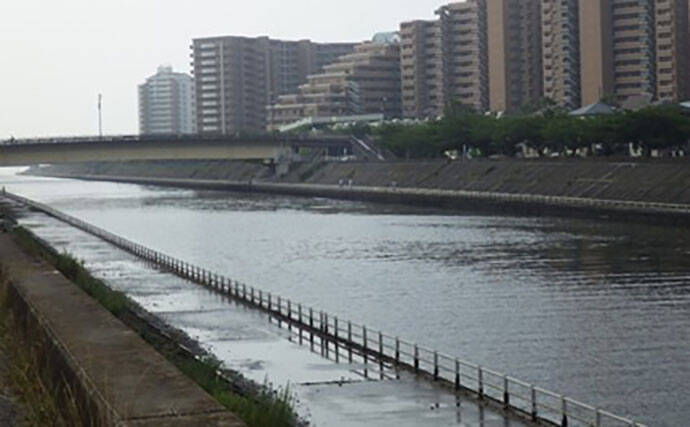 「ベテラン釣り師が推薦！」千葉県・茨城県のおすすめハゼ釣り場11選