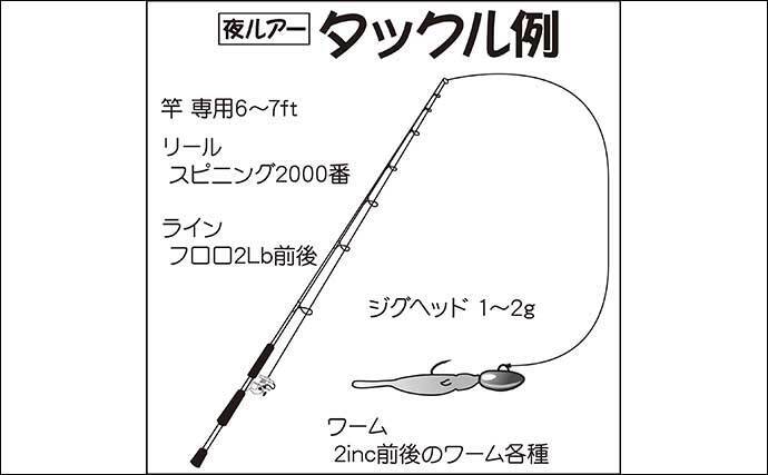 22 アジ 根魚狙い夜ルアー船の楽しみ方 タックル 釣り方 釣況 22年2月6日 エキサイトニュース