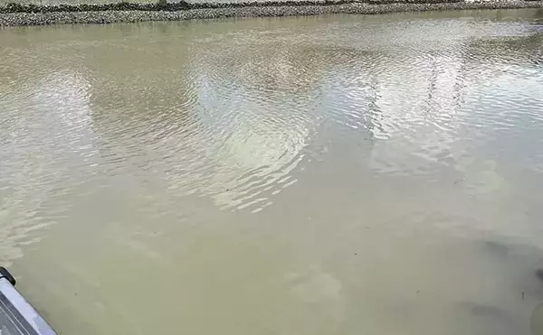 「エギタコ釣りにおける【水潮攻略法】　ワーム素材が効果的なワケとは？」の画像