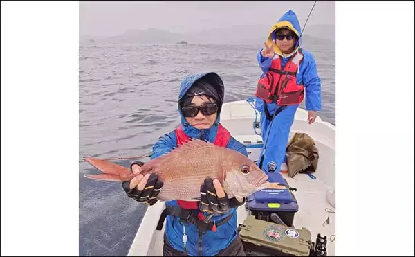 「レンタルボートでのルアー釣行でアオリにマダイにアカハタと魚種多彩【三重】」の画像